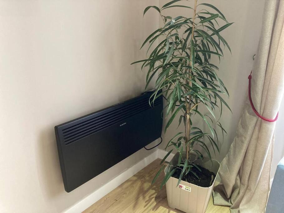 T 2 Calme&Douceur Apartment Tarbes Bagian luar foto